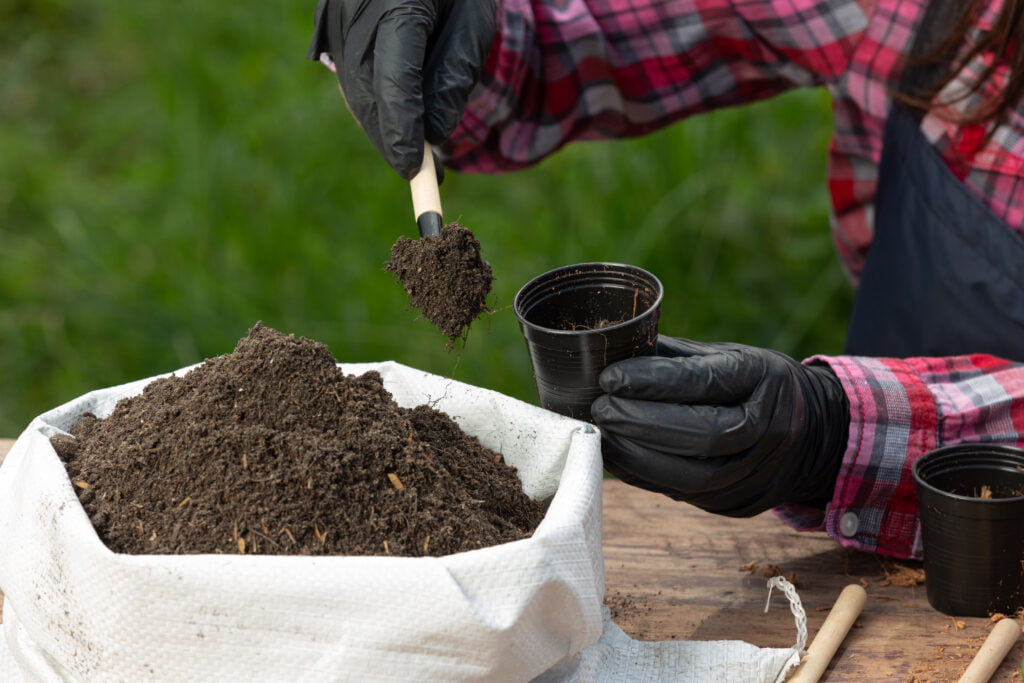 Illustration of a hand holding a bag of compound fertilizer, with green plants and roots growing out of the bag.